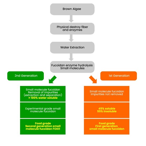 Figure 2: Improvements in the second-generation small molecule fucoidan extraction process